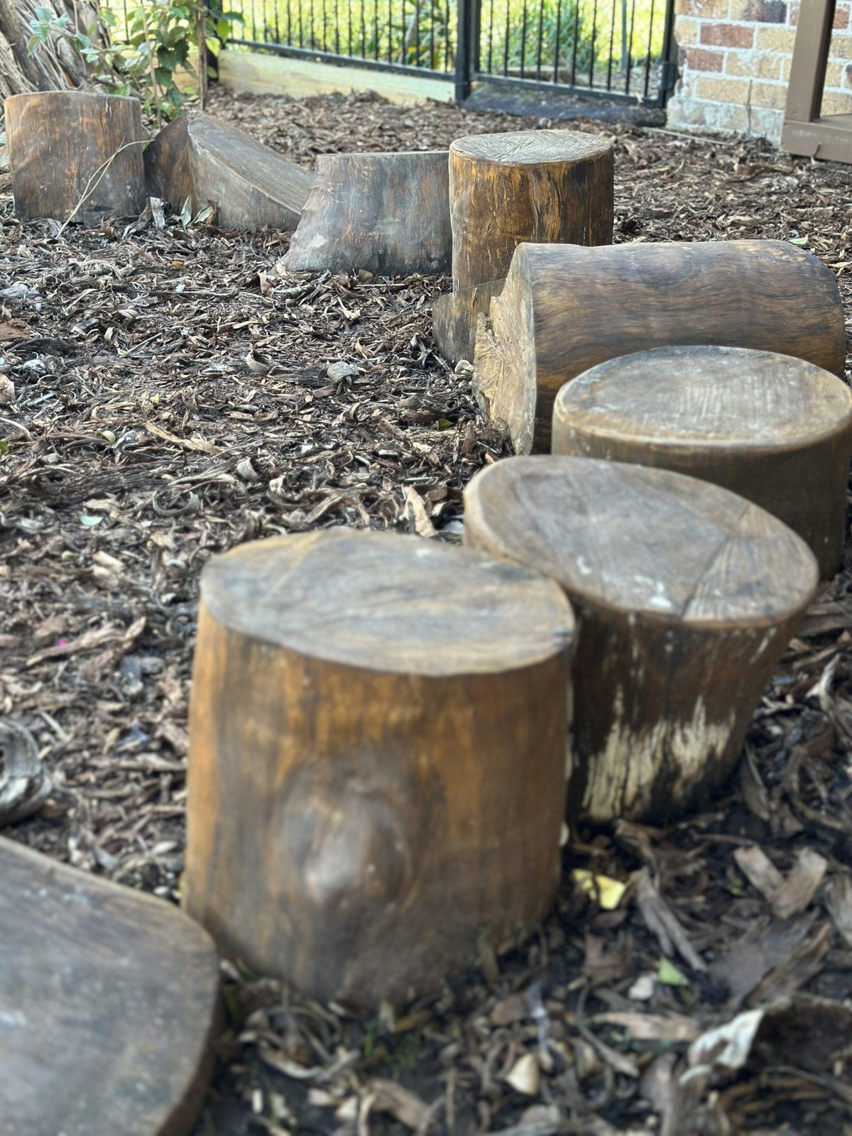 Log stepping stones winding through the yard