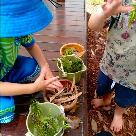 Kindergarten · Free Kindy