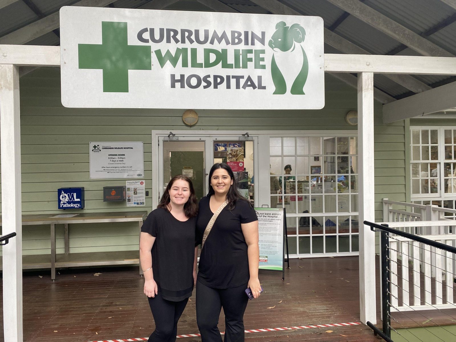 Our team at the Currumbin Wildlife Hospital