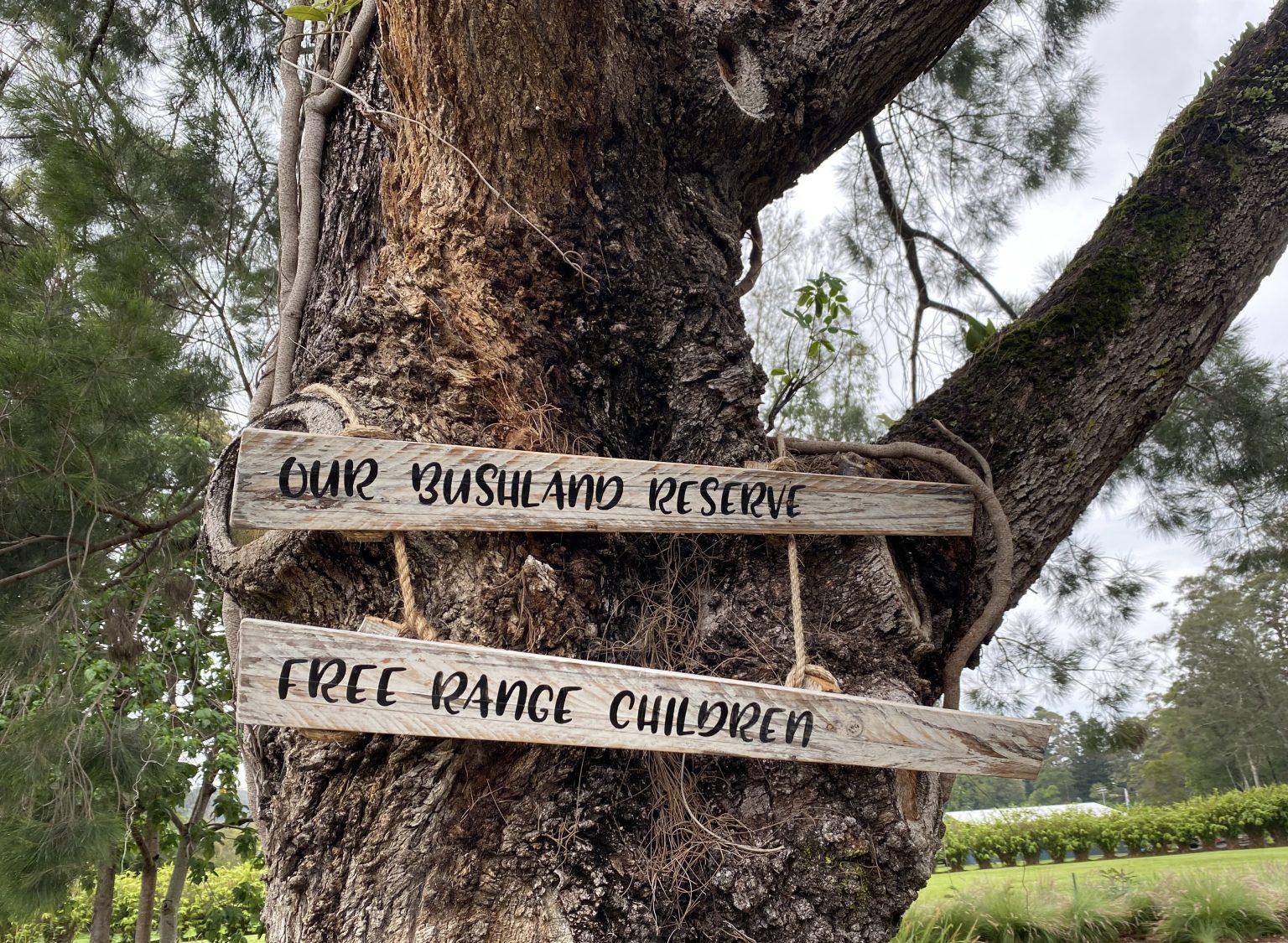 Children exploring under the trees at Currumbin Village