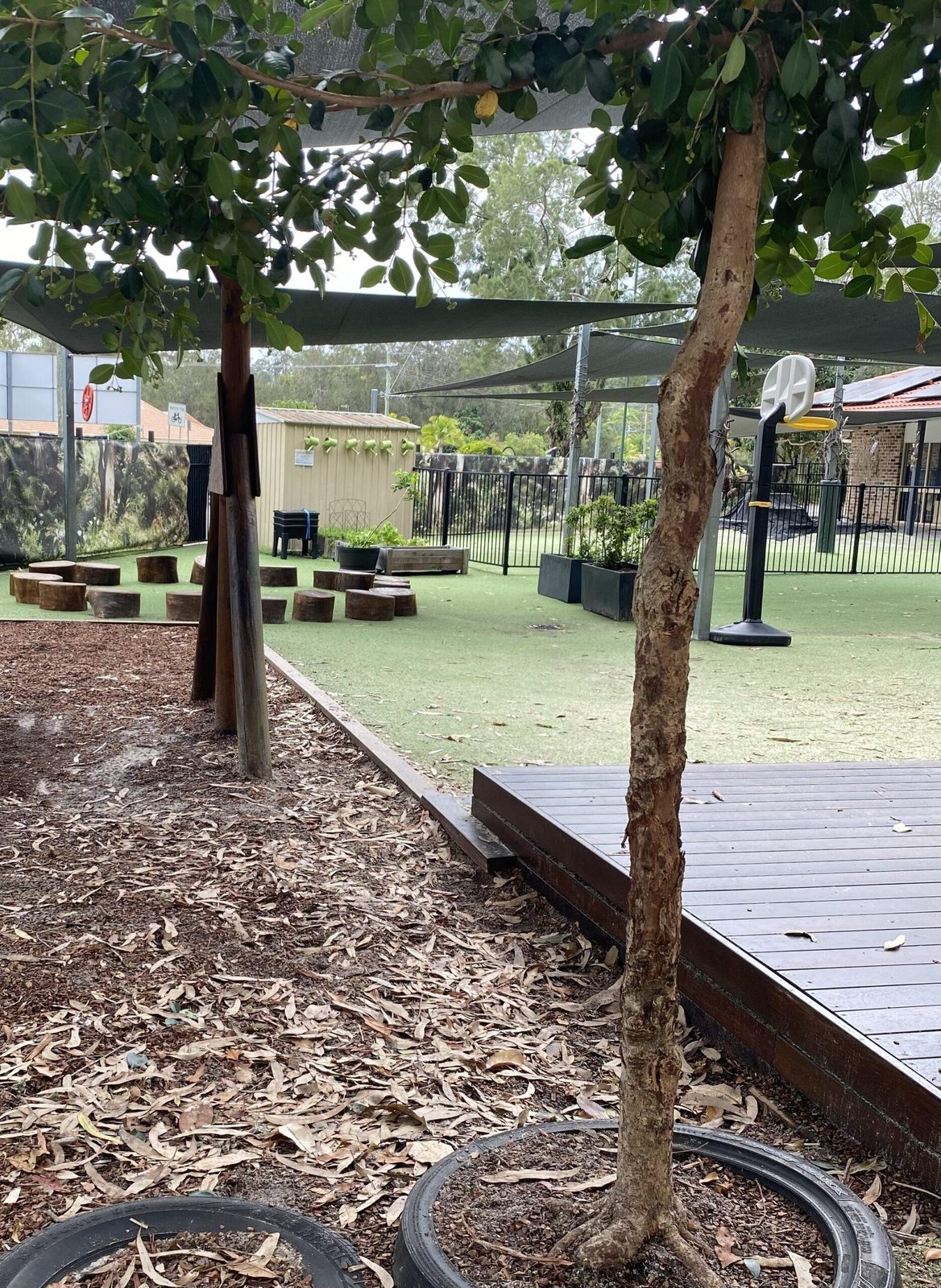 Mulch pathway leading through the outdoor play space