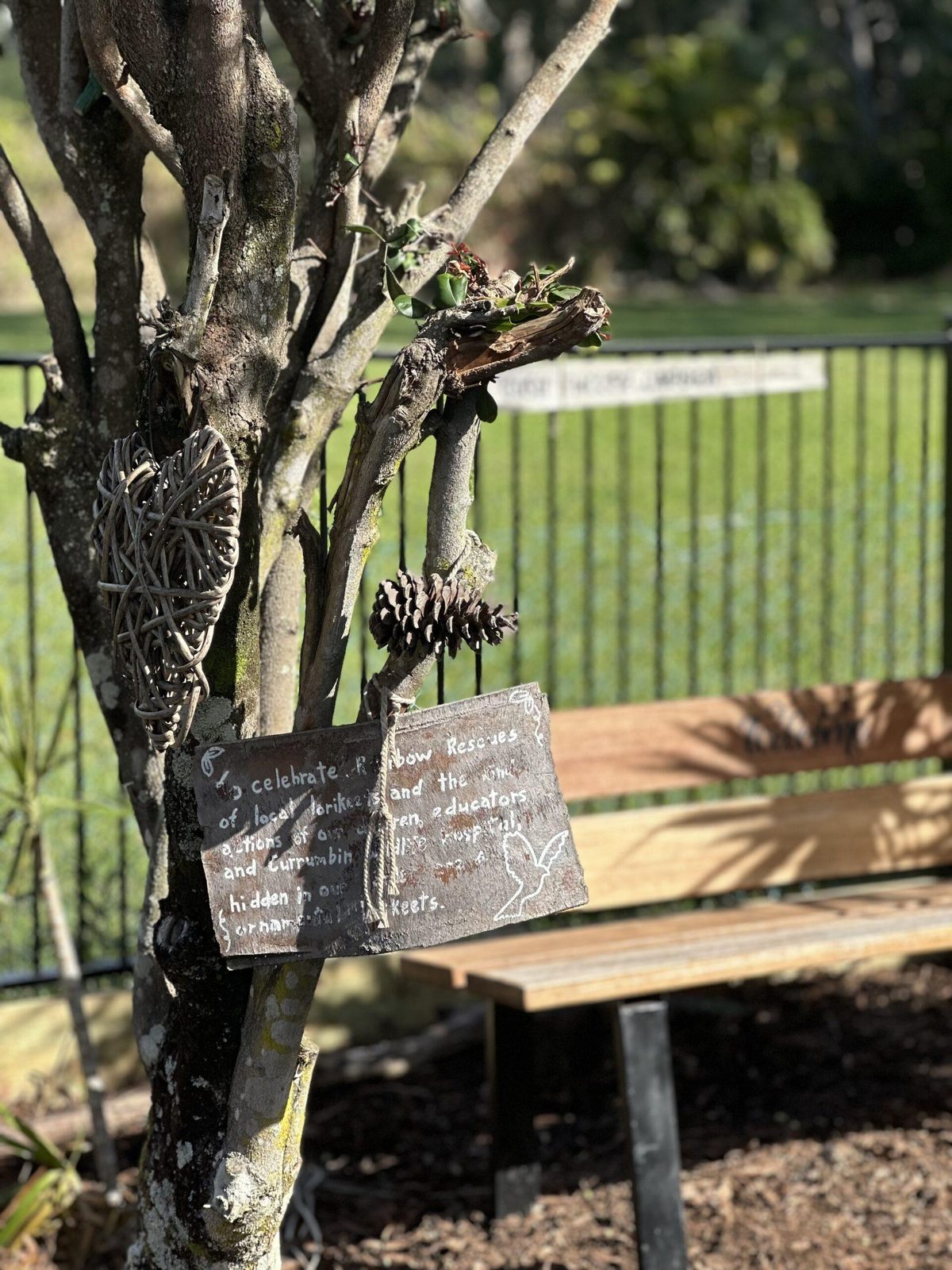 Quiet bench tucked under trees in the bush garden